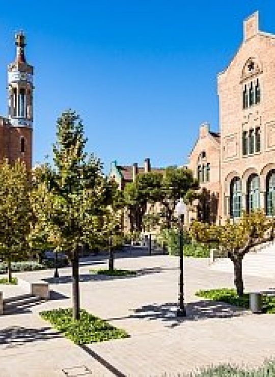 Sant Antoni